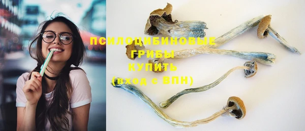 крисы Киренск
