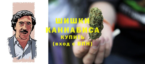 МДПВ Карпинск