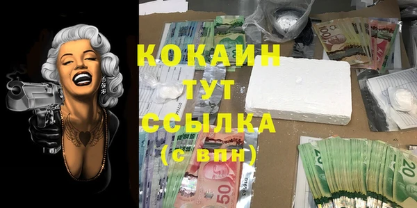 МДПВ Карпинск