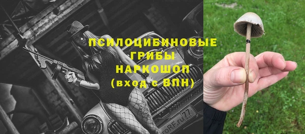 крисы Киренск